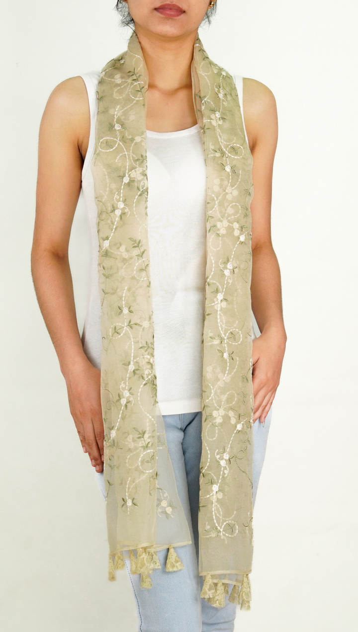 Evelyn Embroidered Stole on Dusky Cream Silk Organza