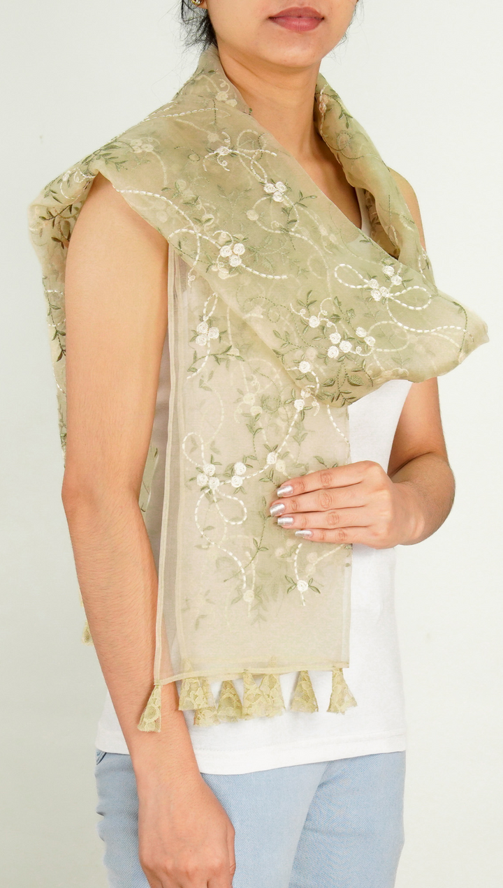 Evelyn Embroidered Stole on Dusky Cream Silk Organza