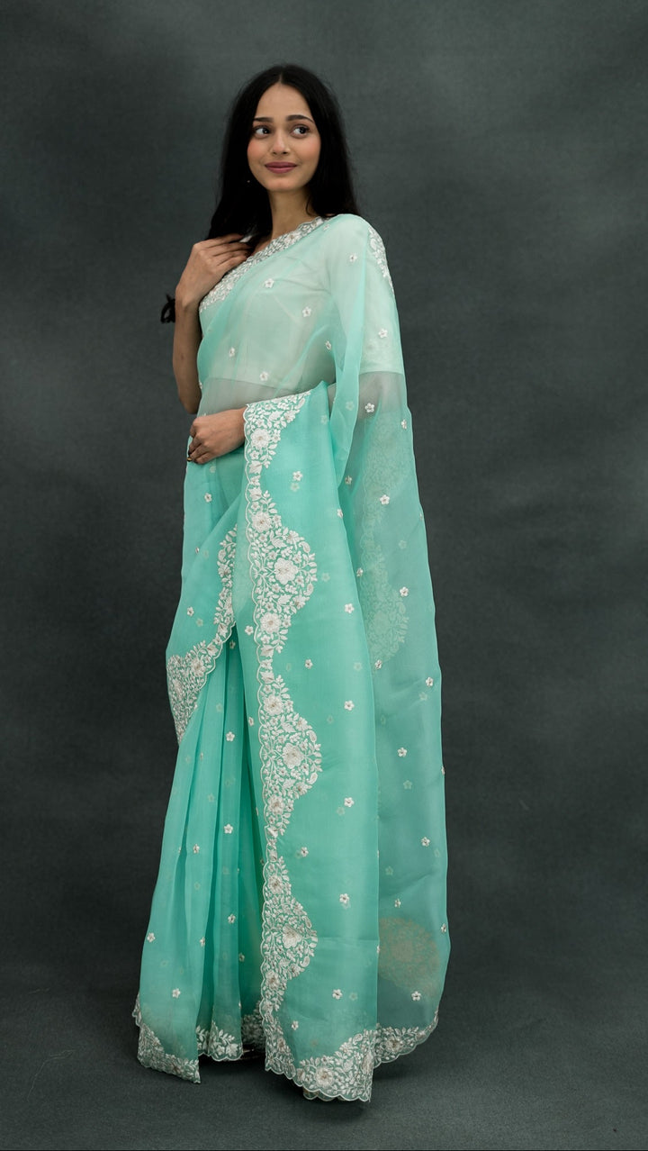 Vrinda Embroidered Saree on Turquoise Pure Silk Organza