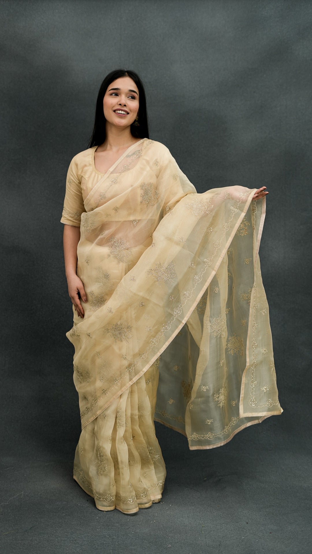 Padmini Embroidered Saree on Beige Pure Silk Organza