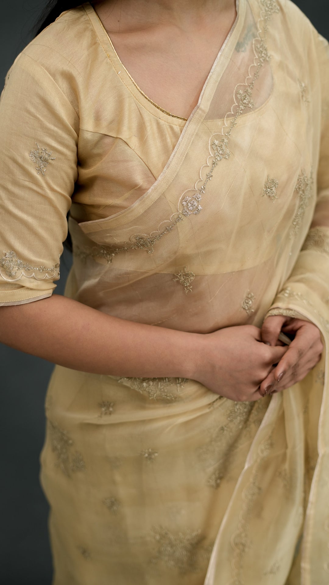 Padmini Embroidered Saree on Beige Pure Silk Organza