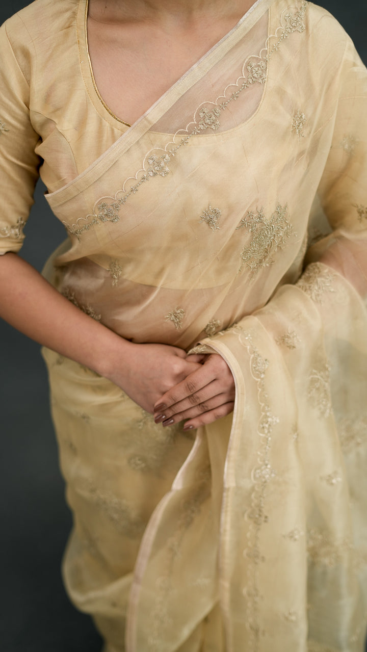 Padmini Embroidered Saree on Beige Pure Silk Organza