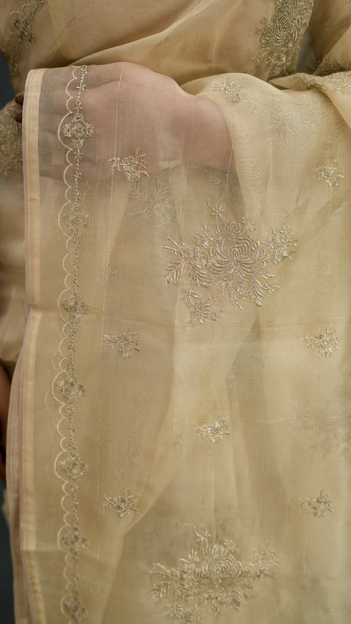 Padmini Embroidered Saree on Beige Pure Silk Organza