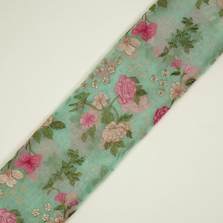 Anvitha Jaal on Aqua Silk Organza Embroidered Fabric