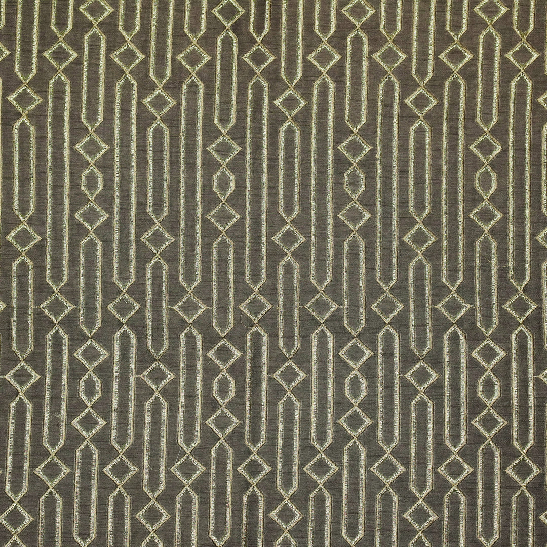 Tanira Jaal on Charcoal Semi Raw Silk Embroidered Fabric