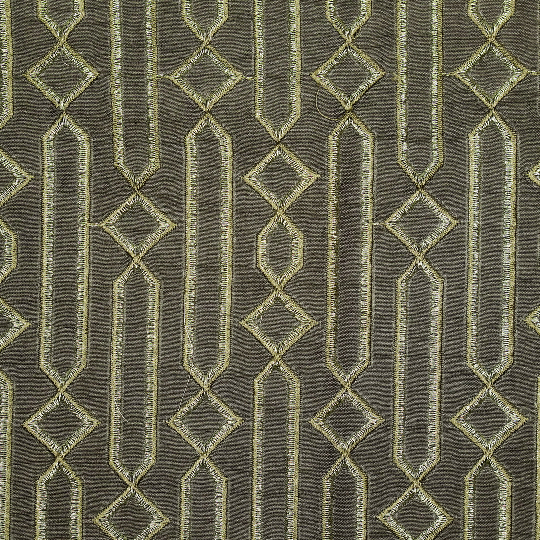 Tanira Jaal on Charcoal Semi Raw Silk Embroidered Fabric