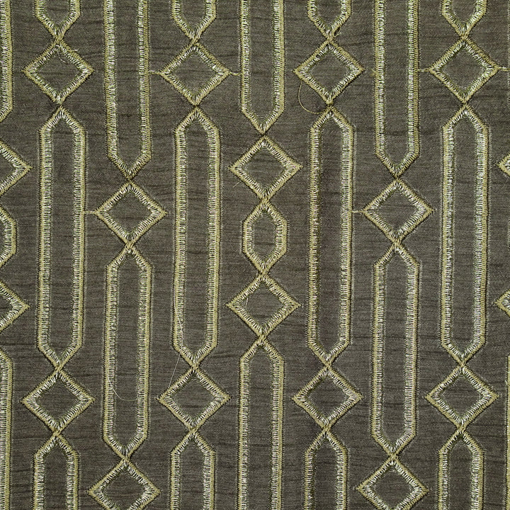 Tanira Jaal on Charcoal Semi Raw Silk Embroidered Fabric