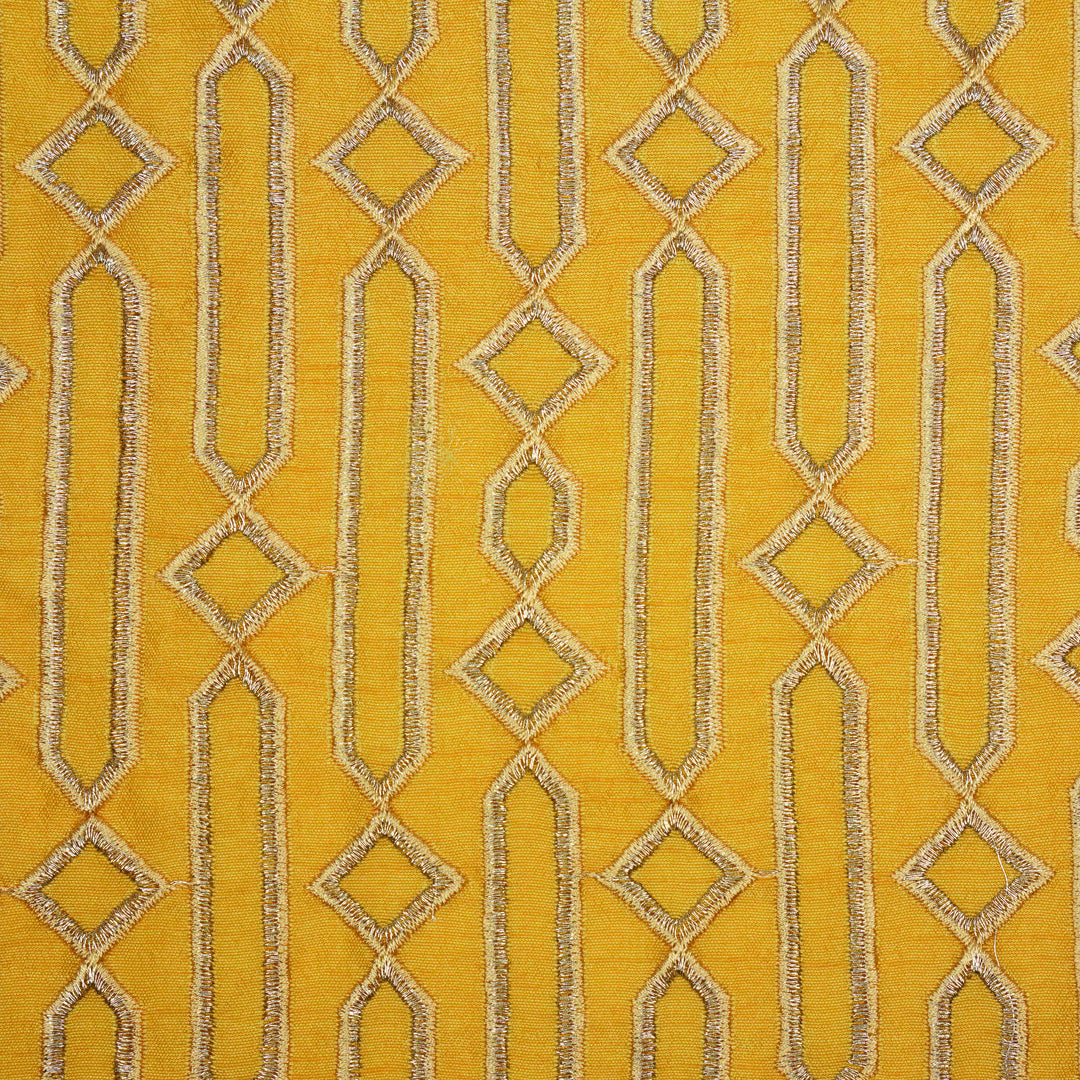 Tanira Jaal on Gold Semi Raw Silk Embroidered Fabric