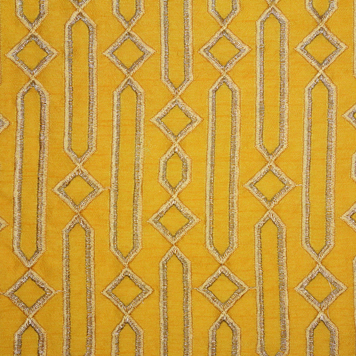 Tanira Jaal on Gold Semi Raw Silk Embroidered Fabric