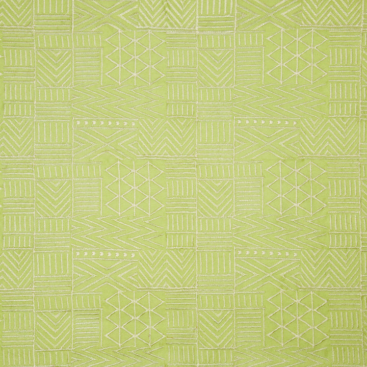 Mehraab Jaal on Pista Luxe Silk Chanderi Embroidered Fabric