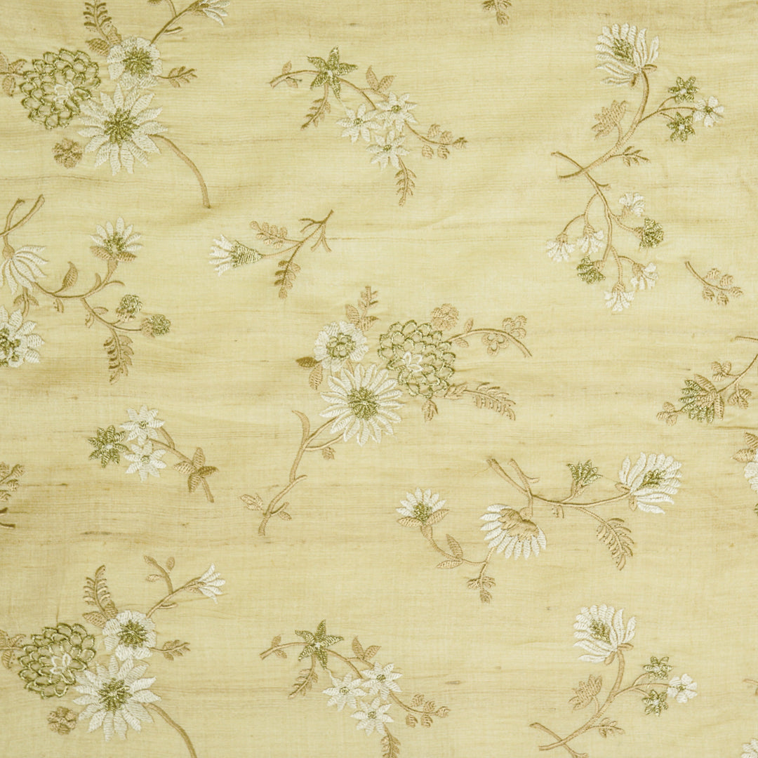 Mahzar Jaal On Natural Tussar Silk Embroidered Fabric