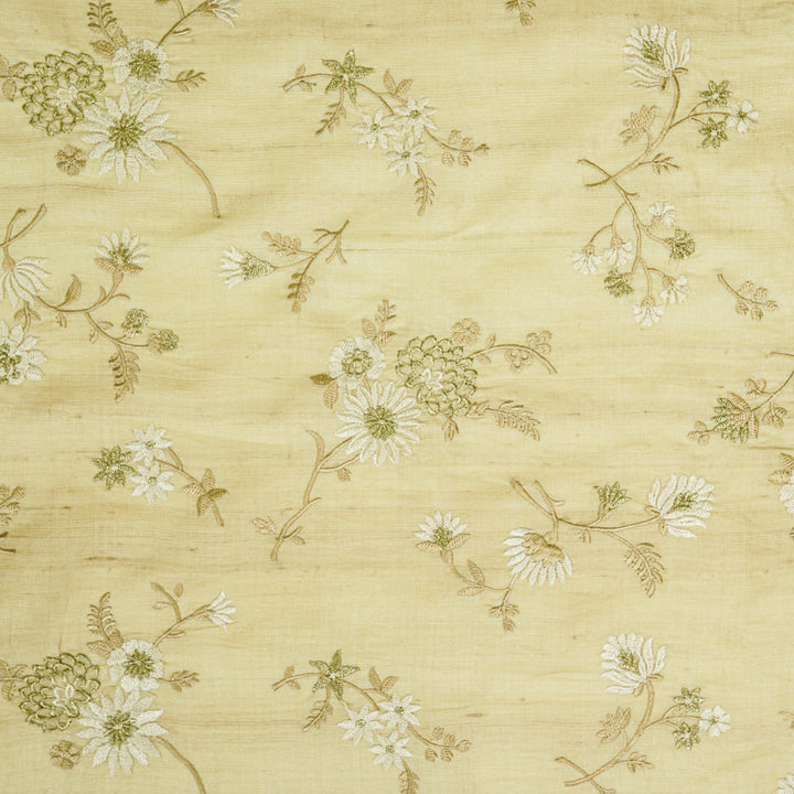 Mahzar Jaal On Natural Tussar Silk Embroidered Fabric