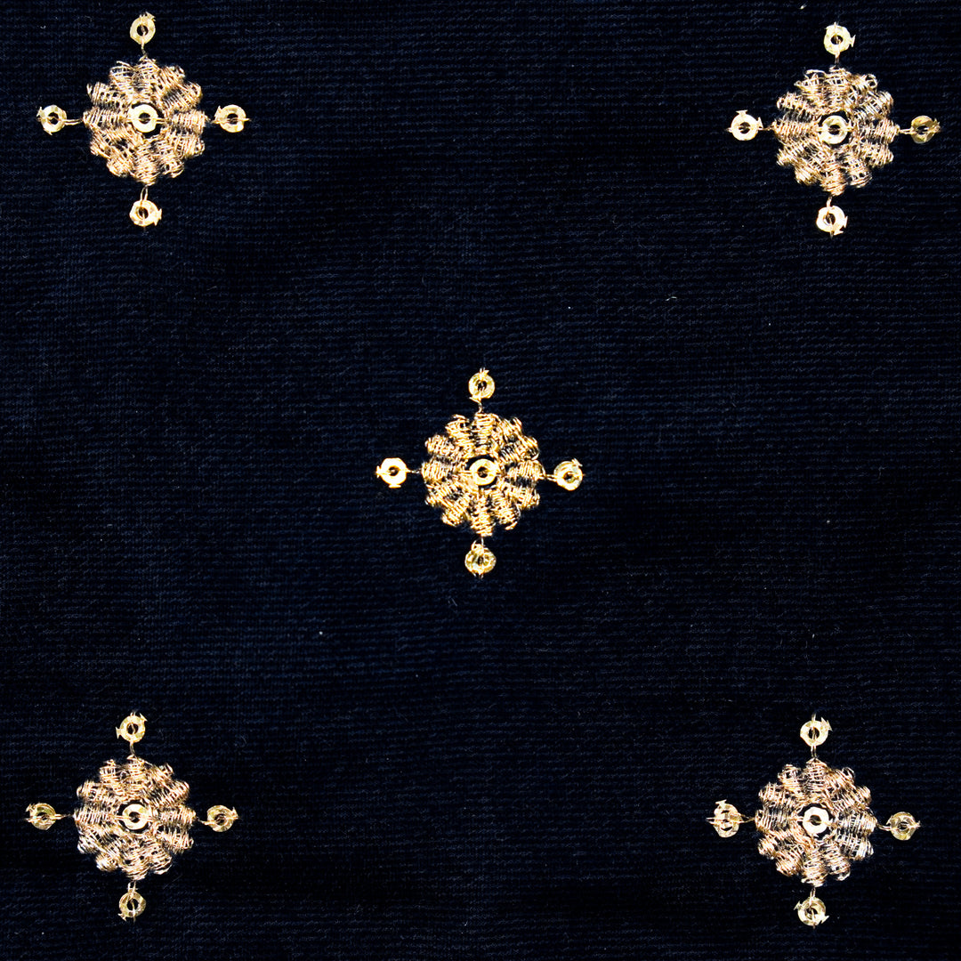 Rayna Buti on Navy Blue Velvet Embroidered Fabric