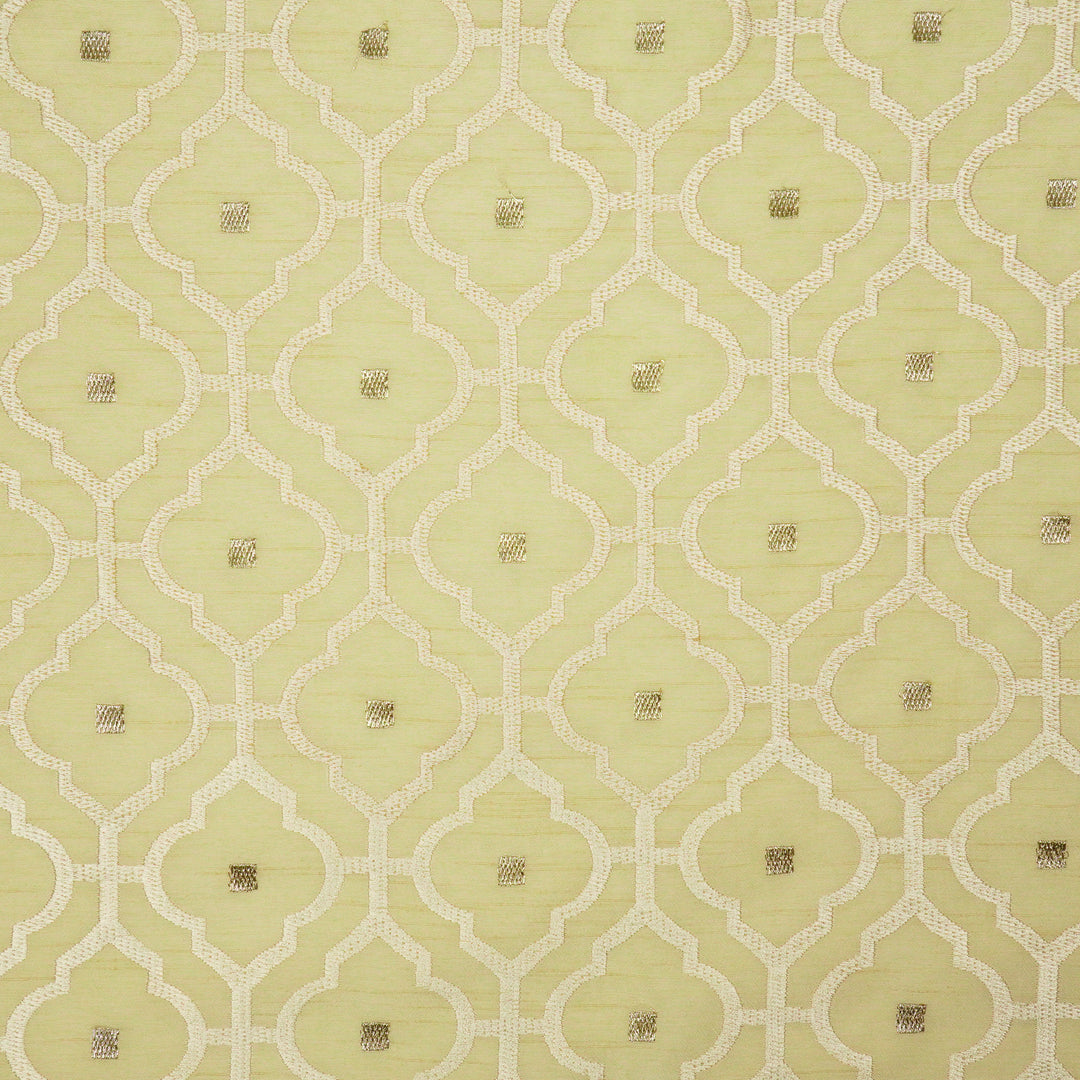 Jahanara Jaal on Cream Semi Raw Silk Embroidered Fabric