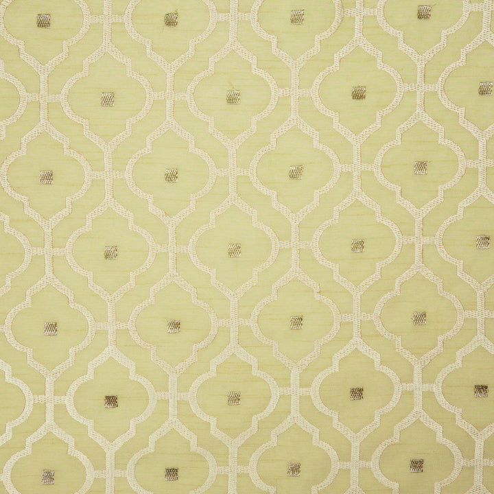 Jahanara Jaal on Cream Semi Raw Silk Embroidered Fabric