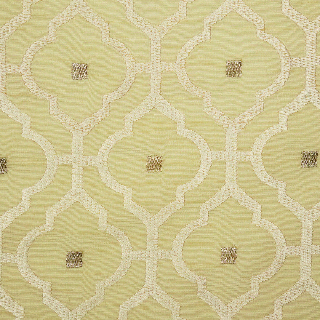 Jahanara Jaal on Cream Semi Raw Silk Embroidered Fabric