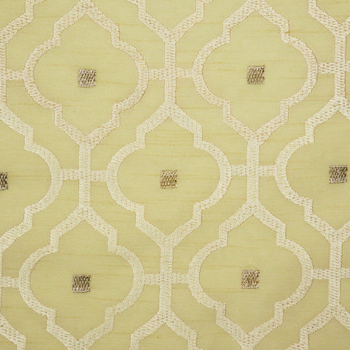 Jahanara Jaal on Cream Semi Raw Silk Embroidered Fabric