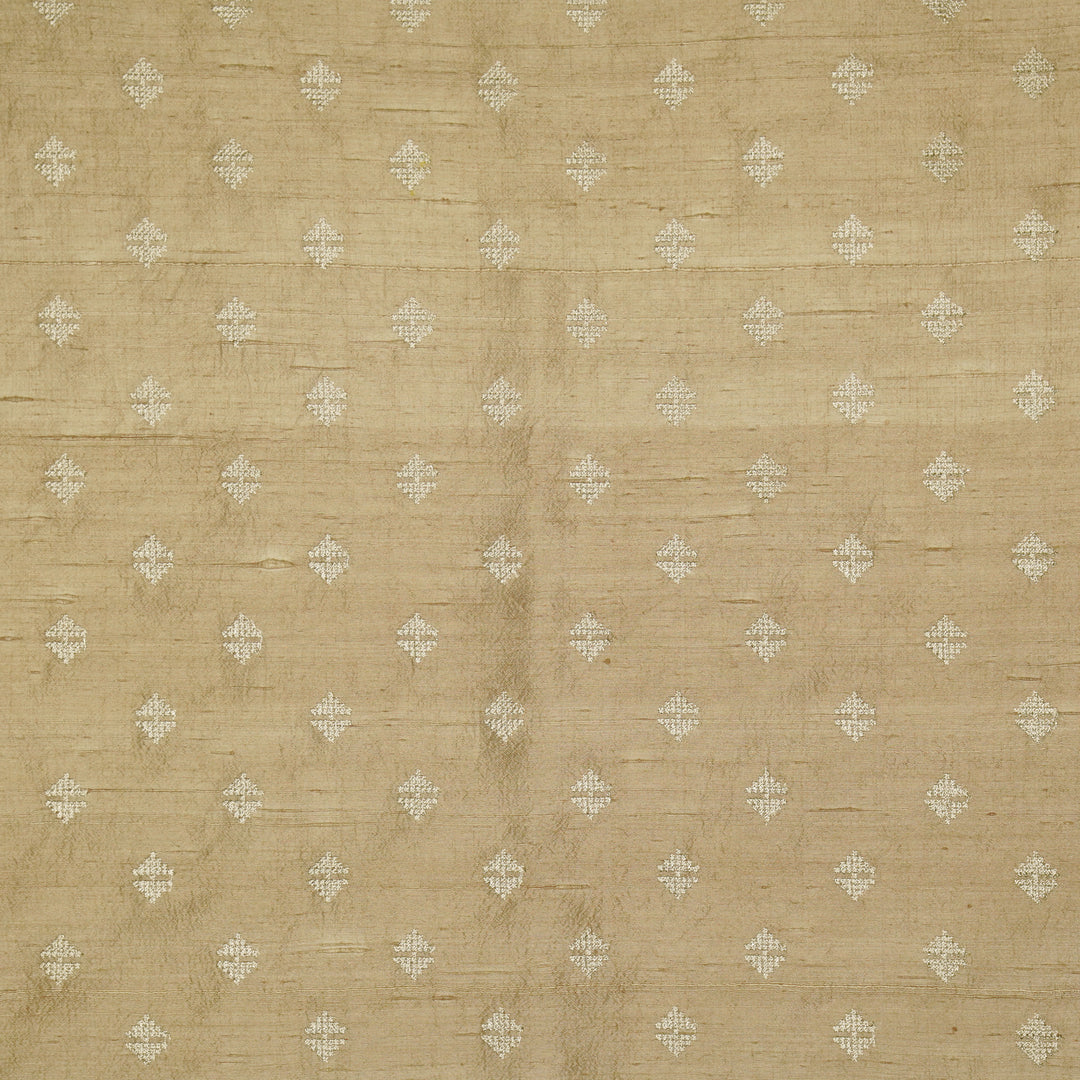 Naqsh Buti on Blush Raw Silk Embroidered Fabric