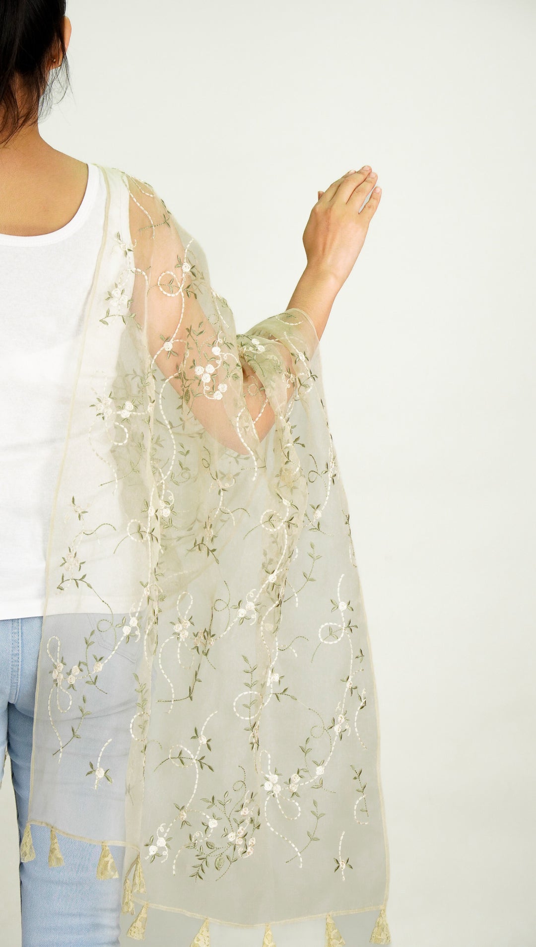 Evelyn Embroidered Stole on Dusky Cream Silk Organza