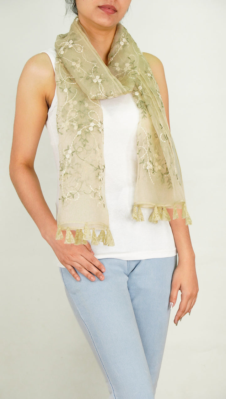 Evelyn Embroidered Stole on Dusky Cream Silk Organza