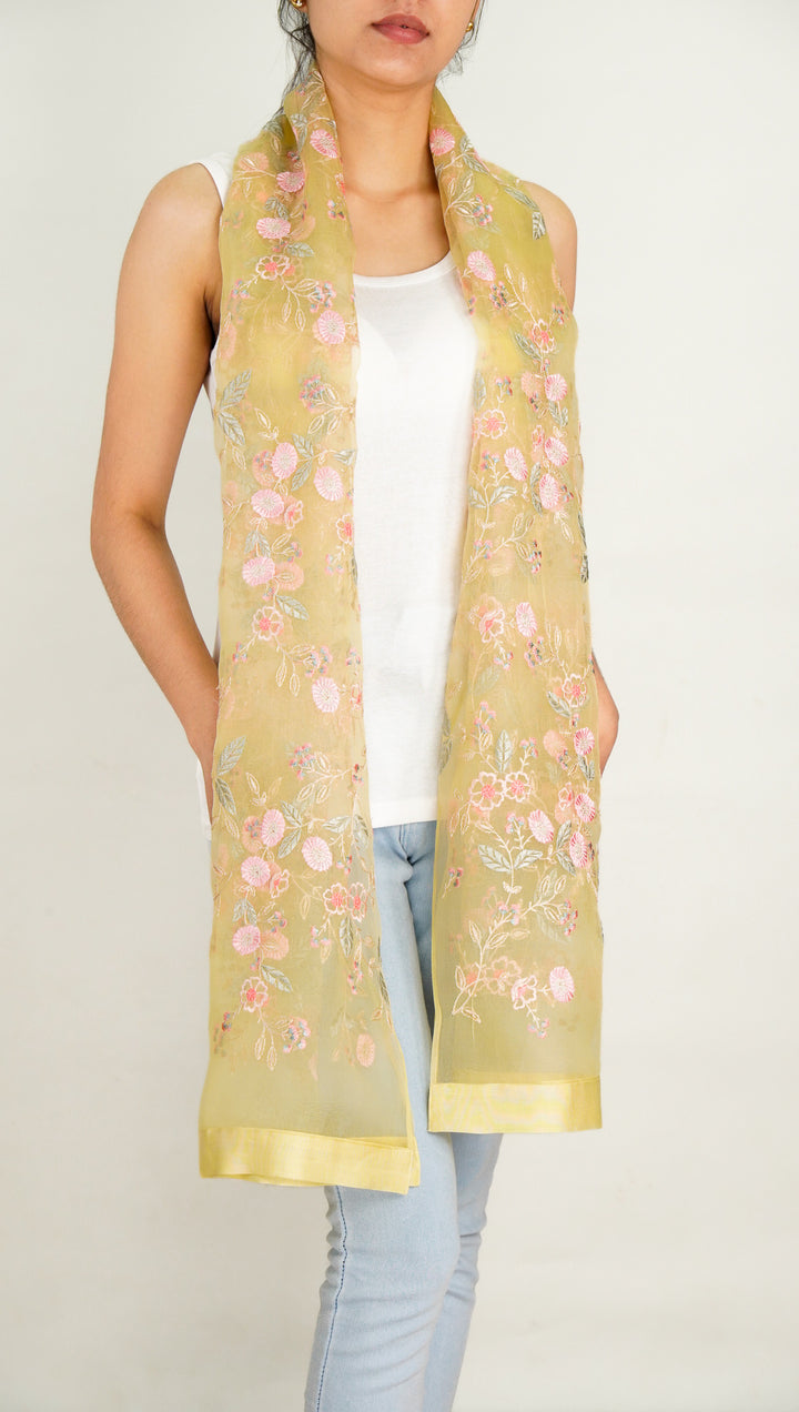 Naureen Embroidered Stole on Lemon Silk Organza