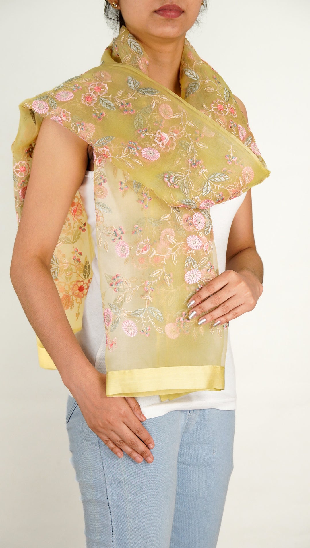 Naureen Embroidered Stole on Lemon Silk Organza