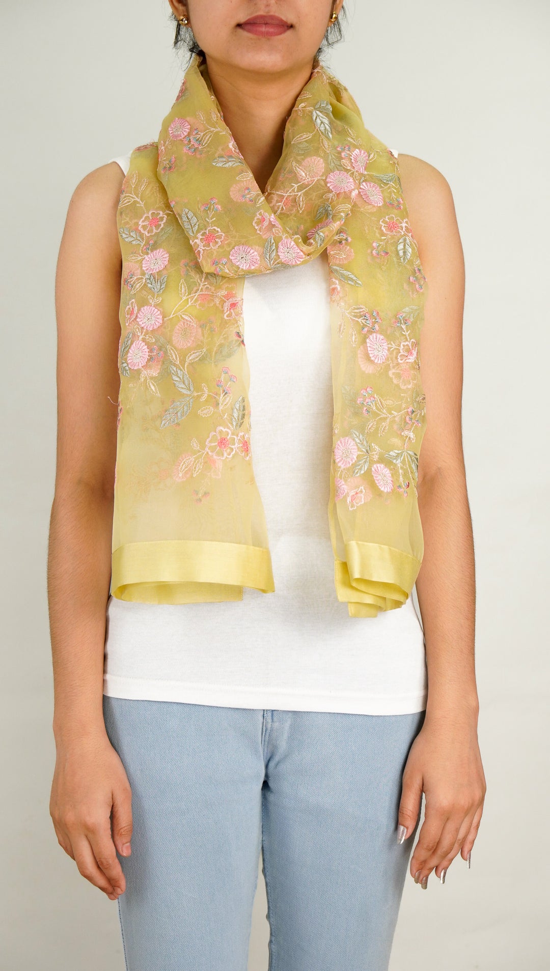 Naureen Embroidered Stole on Lemon Silk Organza