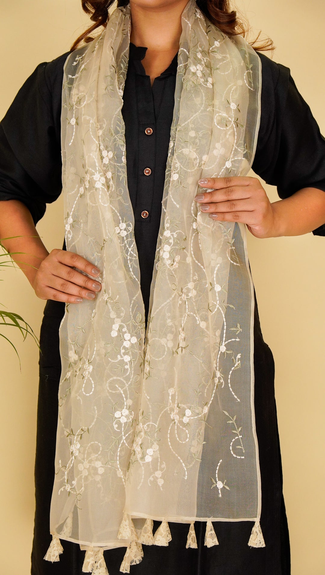 Evelyn Embroidered Stole on Dusky Cream Silk Organza