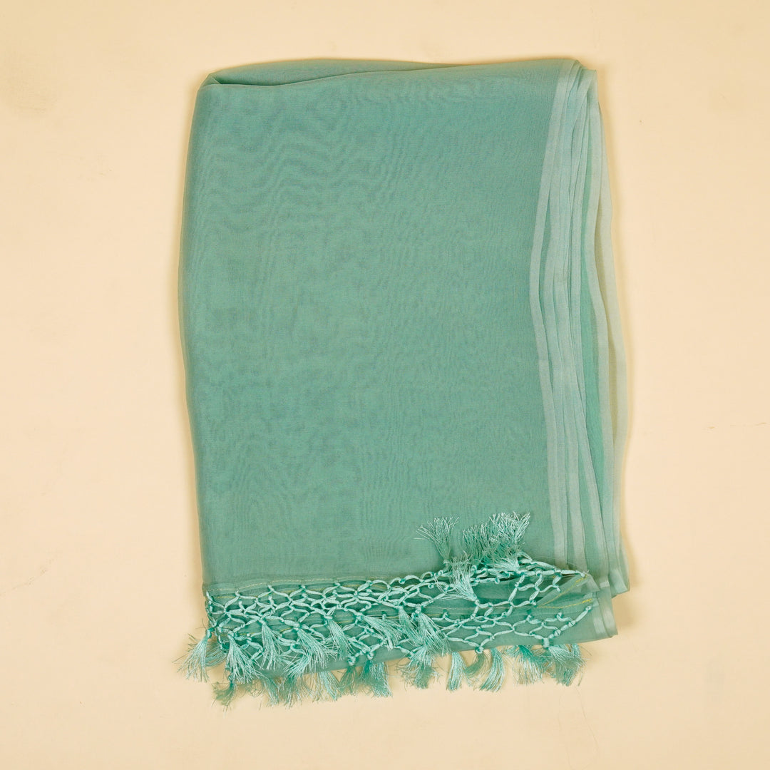 Lavanya Jaal Suit fabric set on Silk Organza (Unstitched)- Sea Green