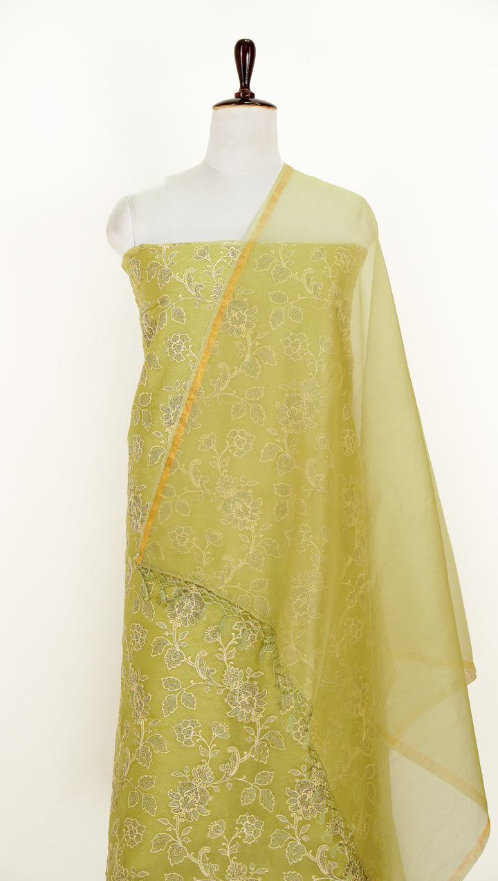 Aanwika Jaal Suit fabric Set on Silk Organza (Unstitched)- Light Olive