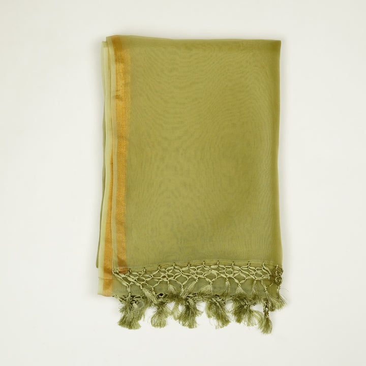 Aanwika Jaal Suit fabric Set on Silk Organza (Unstitched)- Light Olive