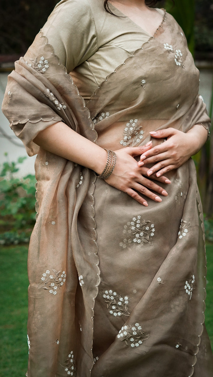 Tamaya Embroidered Saree on Mouse Pure Silk Organza