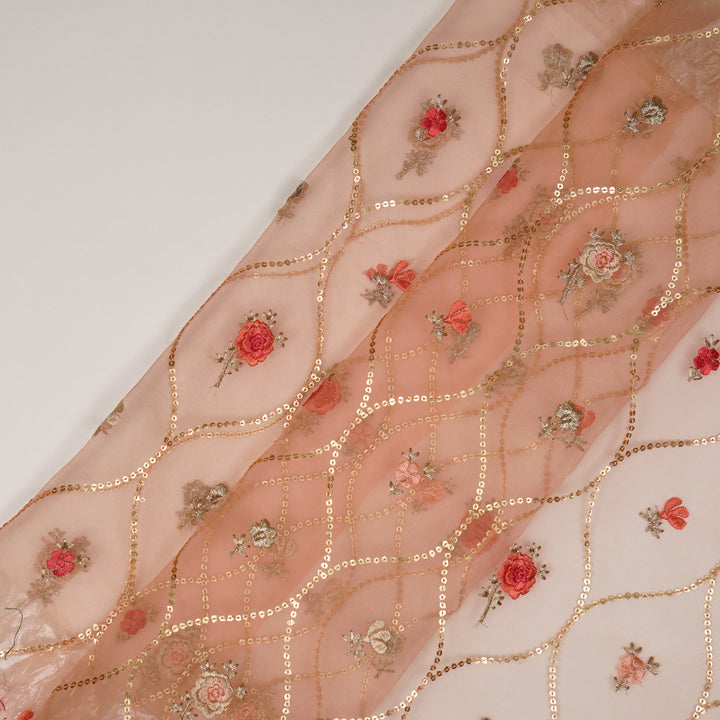 Rosha Jaal On Peach Semi Organza