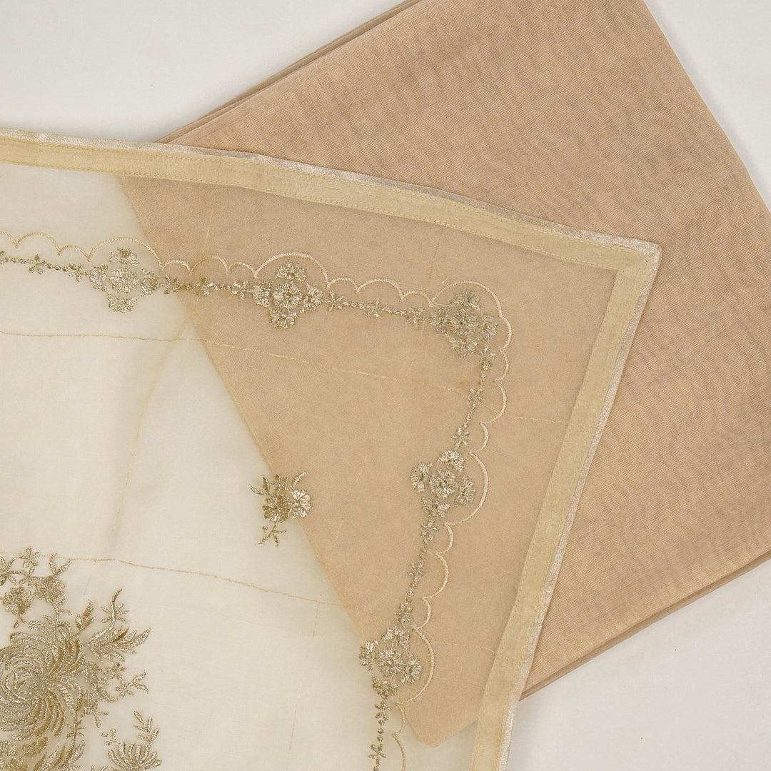 Padmini Embroidered Saree on Beige Pure Silk Organza