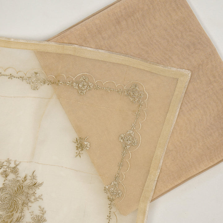 Padmini Embroidered Saree on Beige Pure Silk Organza