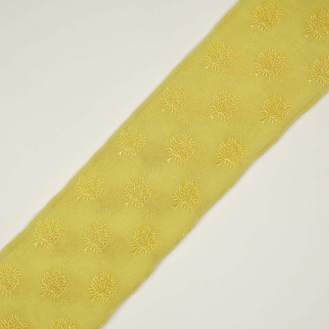 Dhara Buti on Lemon Semi Georgette Embroidered