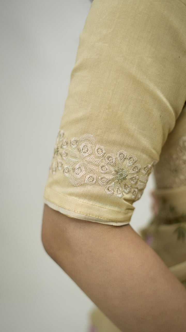 Afsanah Embroidered Saree on Beige Pure Silk Georgette