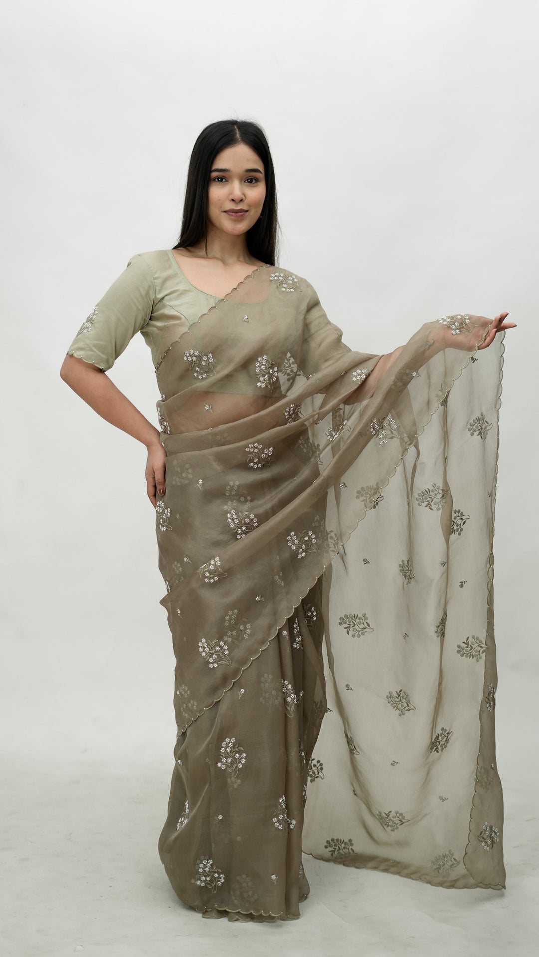 Tamaya Embroidered Saree on Mouse Pure Silk Organza