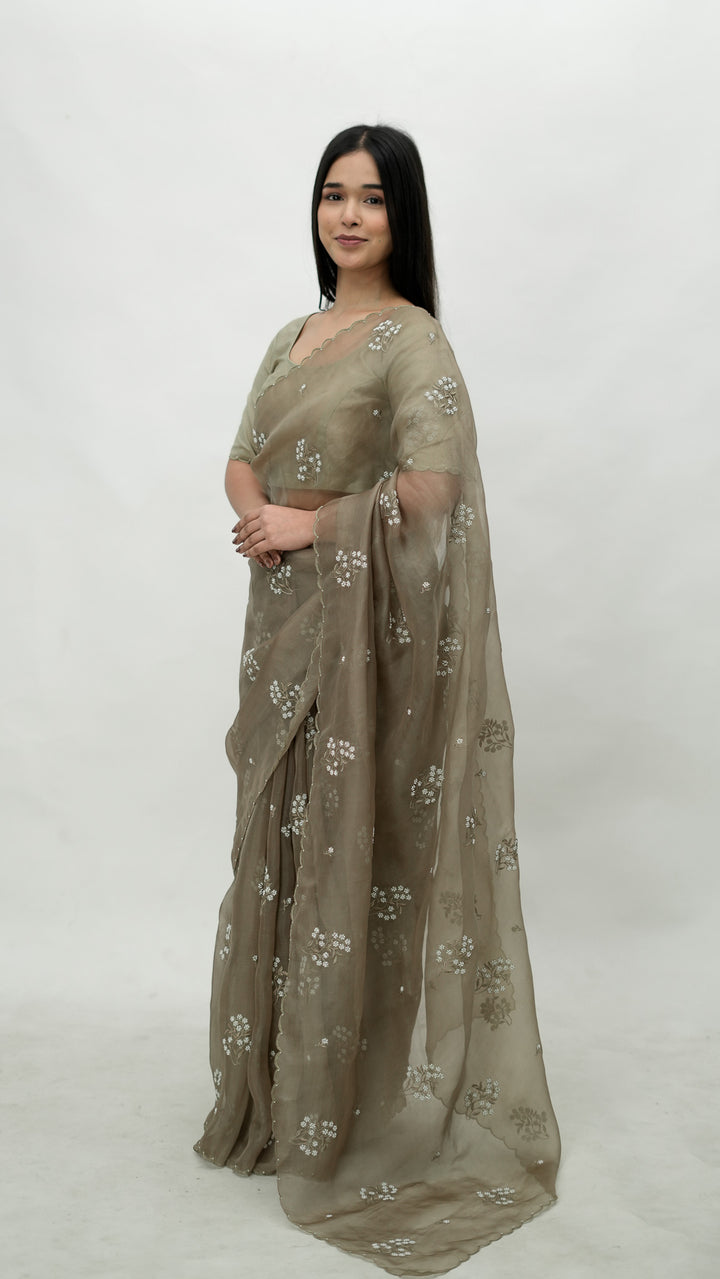 Tamaya Embroidered Saree on Mouse Pure Silk Organza