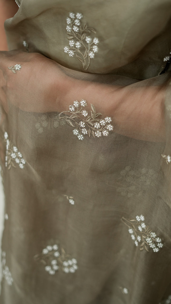 Tamaya Embroidered Saree on Mouse Pure Silk Organza
