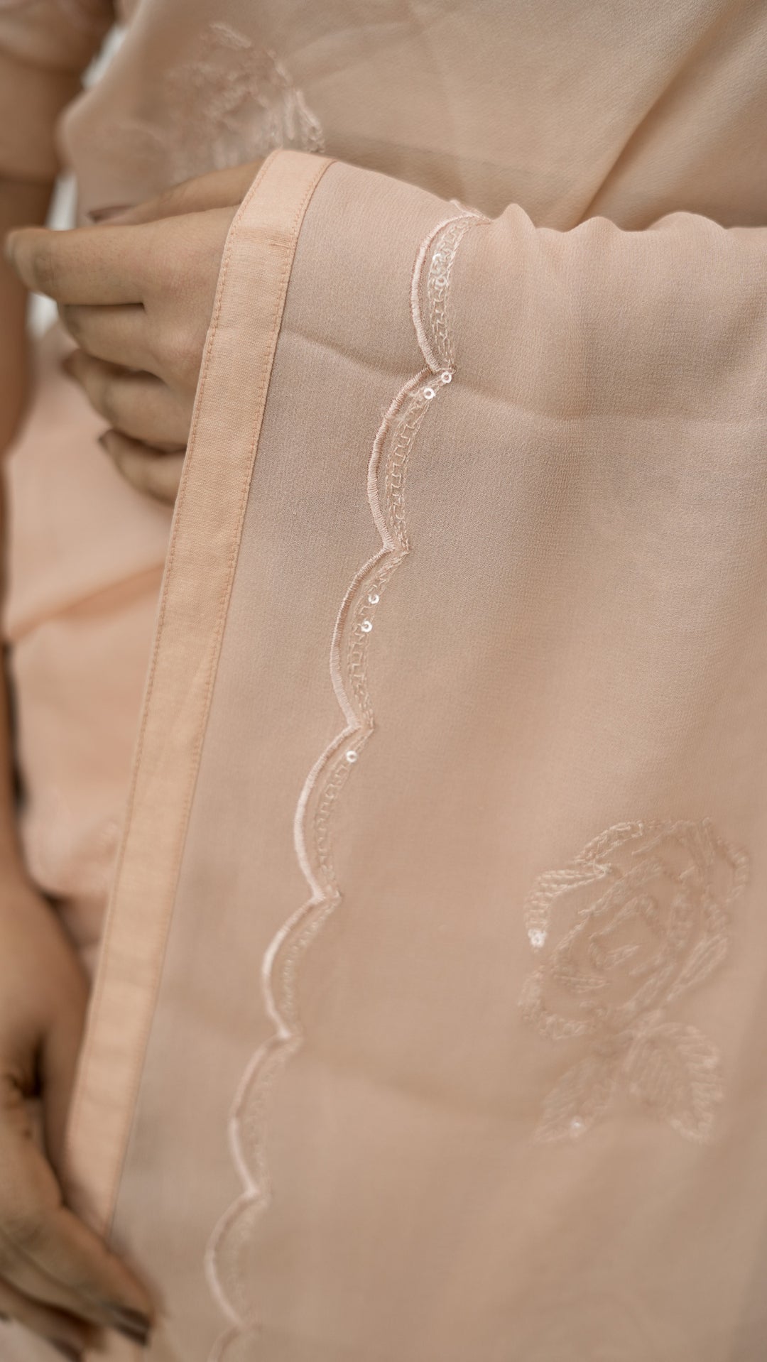 Sirisa Embroidered Saree on Blush Pure Silk Georgette