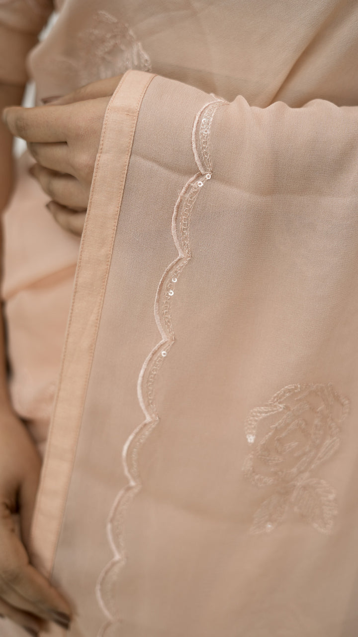 Sirisa Embroidered Saree on Blush Pure Silk Georgette