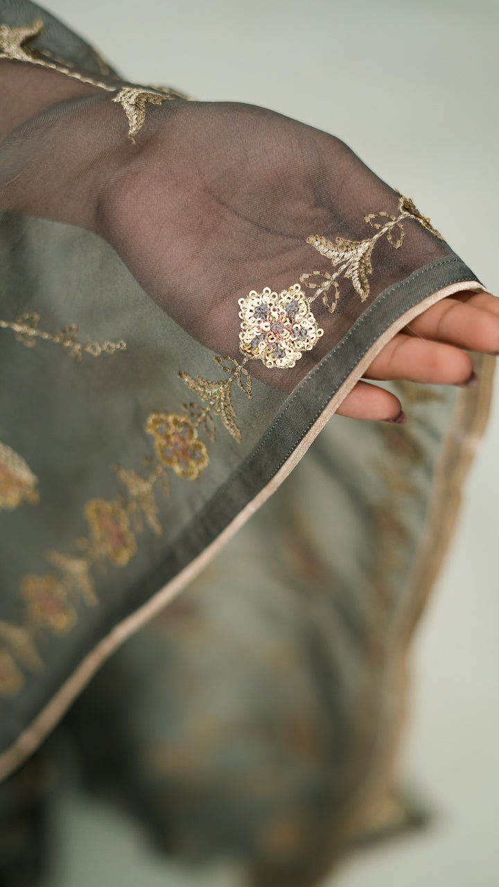 Revaya Embroidered Saree on Charcoal Pure Silk Organza