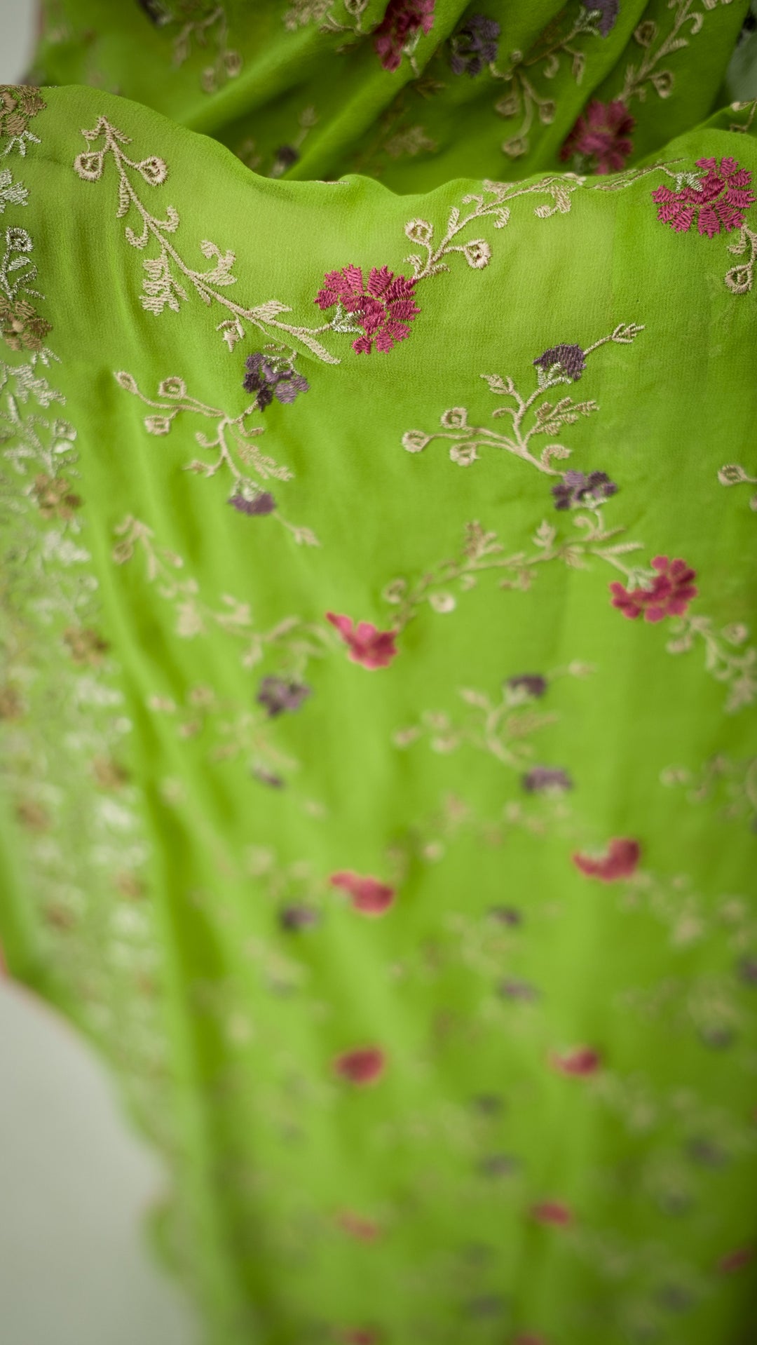 Mayila Embroidered Saree on Parrot Green Pure Silk Georgette