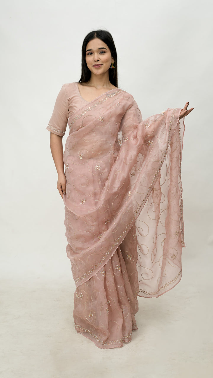 Vanya Embroidered Saree on Blush Pure Silk Organza