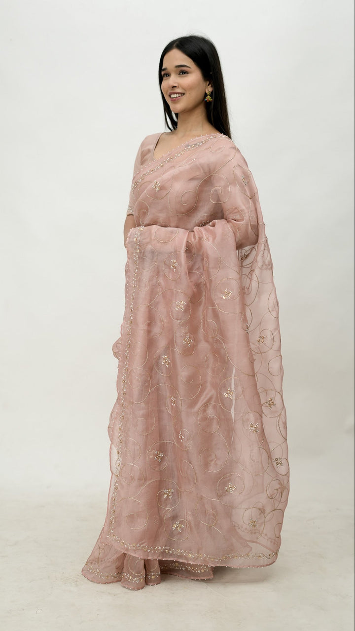Vanya Embroidered Saree on Blush Pure Silk Organza