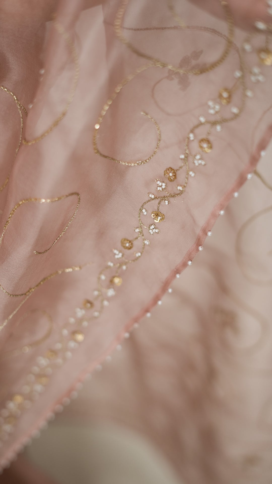 Vanya Embroidered Saree on Blush Pure Silk Organza