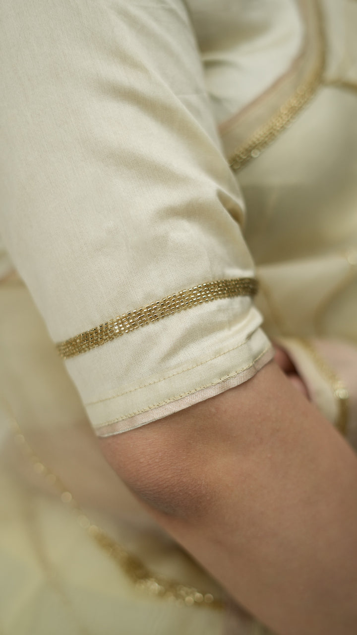 Sayonee Embroidered Saree on Cream Pure Silk Organza