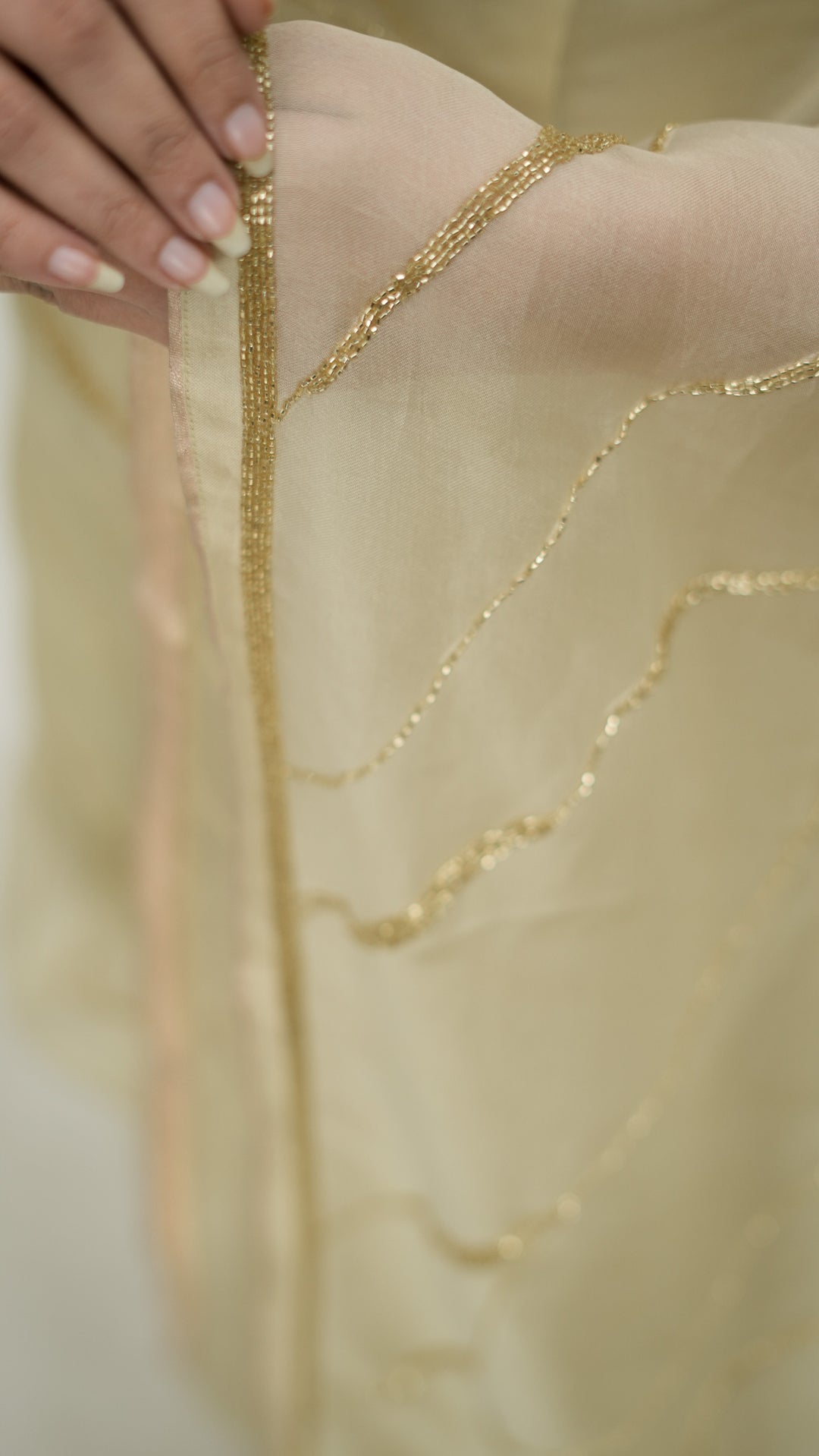 Sayonee Embroidered Saree on Cream Pure Silk Organza