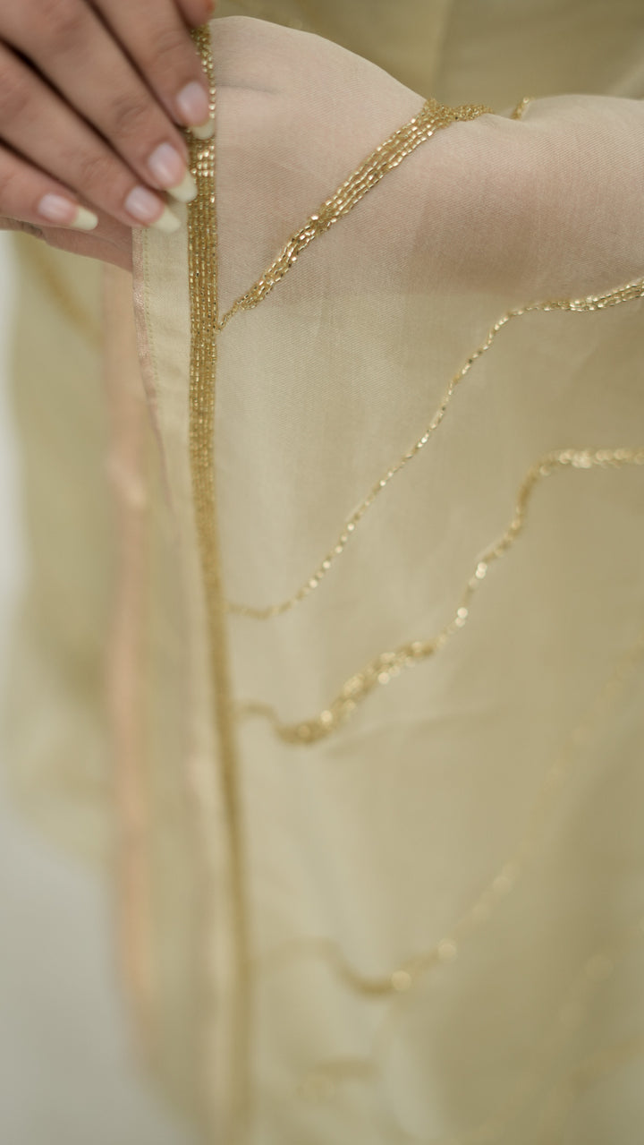 Sayonee Embroidered Saree on Cream Pure Silk Organza